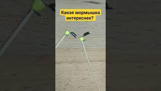 какая мормышка интереснее? #рыбалка #первыйлед2023 #безмотылка #мормышка