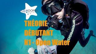 Beginner scuba diving course complete theory in 1 hour