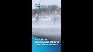 Februari 2022 Storm Eunice raast door Noord-Holland bomen vallen auto heeft geluk #shorts