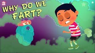 Why Do We Fart? - The Dr. Binocs Show  Best Learning Videos For Kids  Peekaboo Kidz