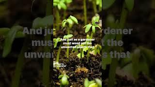 Plant The Seeds #shorts  Mindful Movement