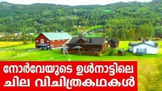 Sancharam  By Santhosh George Kulangara  Norway 09  Safari TV