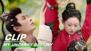 Xuanming Touches Zhaonans Chest Accidentally  My Uncanny Destiny EP01  保护我方城主大人  iQIYI