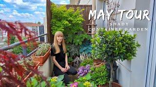 May Tour Of My Shady Container Garden