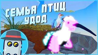 УДОД СЕМЬЯ ПТИЦ РОБЛОКС ОБНОВЛЕНИЕ HOOPOE FEATHER FAMILY ROBLOX UPDATE