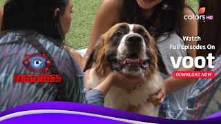 घर में हुई Pets की Entry  Bigg Boss 16  बिग बॉस 16