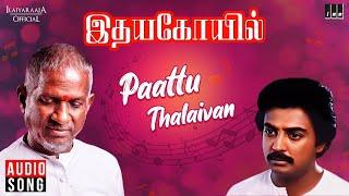 Paattu Thalaivan  Idaya Kovil Movie  Tamil Song  Ilaiyaraaja  SPB  S Janaki  Mohan  Radha