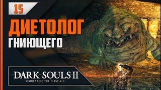 Прохождение Dark Souls 2 SotFS - #15 АЛЧНЫЙ ДЕМОН