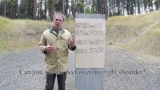 Personal protection   9mm vs. .357Magnum.