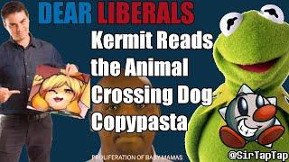 ️Kermit The Frog Reads the Isabelle Animal Crossing Dog Copypasta   Shorts Ver.