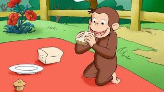 Coco macht ein Picknick  Coco der Neugierige  Cartoons für Kinder