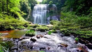 Waterfall flowing over rocks in forest 4k. Relaxing flowing water White Noise for Sleep Meditation