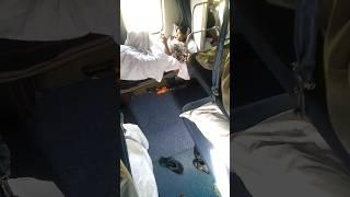 ️ in Bande Bharat train #trending  #shorts #youtube#najimvlogs786