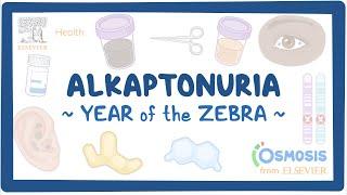 Alkaptonuria Year of the Zebra