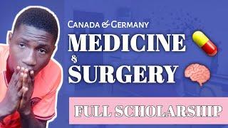 Medical scholarships for International students  MBBS & Dentistry