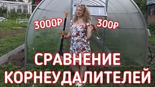 СРАВНИВАЮ КОРНЕУДАЛИТЕЛЬ FISKARS ЗА 3000₽ И ДЕШЁВЫЙ КОРНЕУДАЛИТЕЛЬ ЗА 300₽  СТОИТ ЛИ ПЕРЕПЛАЧИВАТЬ?