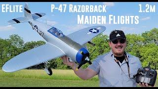 E-flite - P-47 Razorback V2 - 1.2m - Maiden Flights