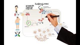 Pharmacology - DRUGS FOR DIABETES MADE EASY