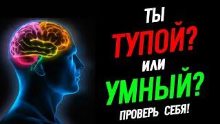 Тест Насколько Ты Умный? Проверь Себя @HomelandChannel