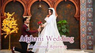 Afghani Wedding part 2مراسم عروسی افغانی عروسی پروین صمدی با محمود امیری