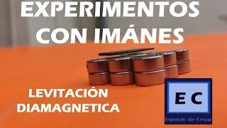 Experimentos con imanes donde conseguirlos magnetismo