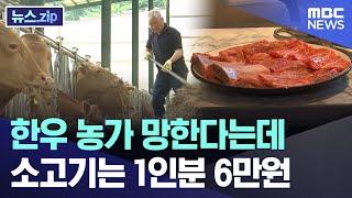 한우 농가 망한다는데 소고기는 1인분 6만원 뉴스.zipMBC뉴스