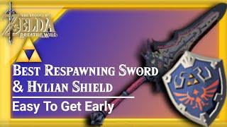 Most Powerful Respawning Sword and the Hylian Shield is close by - Easy to Get Early ZBOTW