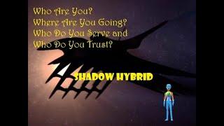 Shadow Hybrid Vessel Crusade who built it and why?