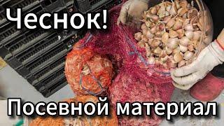   Подготовка Посевного материала. Самодельная дробилка #чеснок  @Serverokchannel  #vlog 