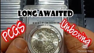 5 Months in the Making PCGS Reveal Lets See the Grades