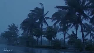  Drift Off to Sleep in Just 3 Minutes with Soothing Hurricane Rain and Thunder Sounds