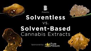 Cannabis Concentrates for Beginners Solventless vs. Solvent-Based Extracts