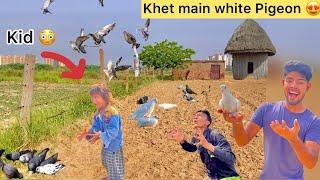 Chota don pakda kabutrSmall kid try to catch white pigeon from field 