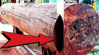 1 Billion  Very Profitable Waste Wood  Sawmill