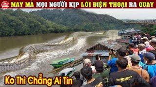 Dân Làng Đổ Xô Ra Xem Rồi Quay Lại Con Rắn Khổng Lồ Bất Ngờ Xuất Hiện Trên Sông  Top 10 Huyền Bí