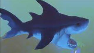 OG Great White Shark Struggles To Defeat The OCEAN - Feed & Grow Fish