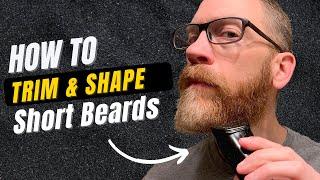 Maintenance Trim for a Short Beard - No Talking