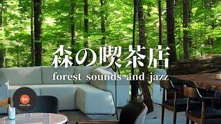 Ambient sounds + JAZZ Gentle Forest sounds Relaxing workstudy CAFE MUSIC - BGM for work