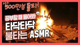 집중력 높이는 소리 장작 소리 효과음 백색소음 ASMR  공신 강성태