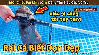 Hảo Hán Review chiếc pet lắm lông đáng yêu siêu cấp vũ trụ  Review Giải Trí Đời Sống