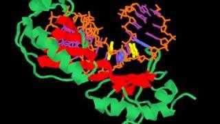 TATA-binding protein