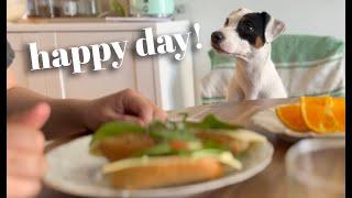 Slow morning  Scandinavian spring  life with a dog  Silent vlog Oslo