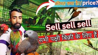 All birds ar sale cheapest price  exotic bird market price update  #birdsnature