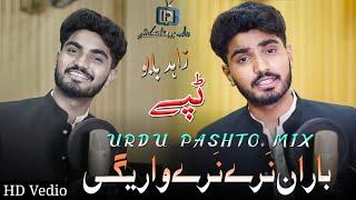 Pashto New Songs 2022  Baran Narey Narey Waregi  باران نرے نرے واریگی  Zahid Babu  Pashto Songs