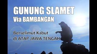 Gunung Slamet Via Bambangan Berselimut Kabut di Atap Jawa Tengah