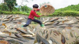 The boy used a bamboo basket to catch fish fortunately caught many big fish.  wandering boy