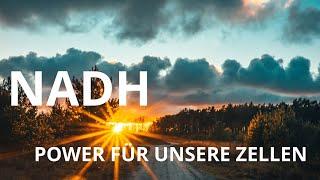 NADH - Power für unsere Zellen