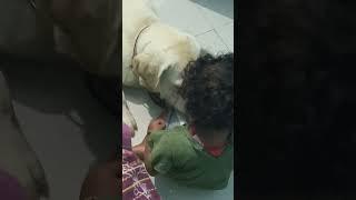 Baby love with pet dog.#vrialvideo#ytshorts#shorts#video#viral#youtube