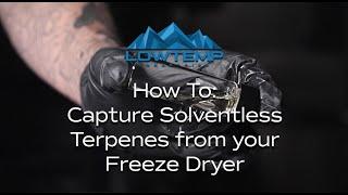 How to Capture Solventless Terpenes From Your Freeze Dryer