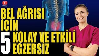 BEL AĞRISI İÇİN 5 KOLAY EGZERSİZ Bel fıtığı Bel düzleşmesi için